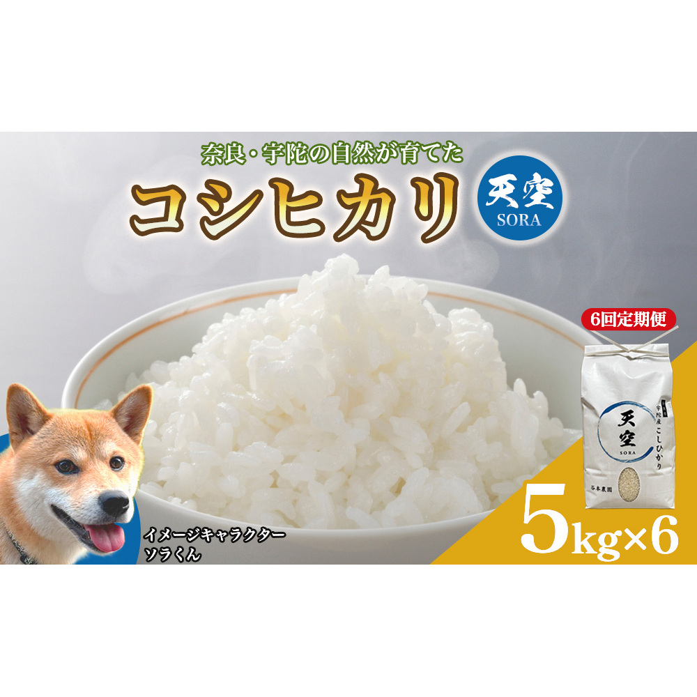宇陀の自然が育てた 天空【sora】コシヒカリ 定期便 5kg×6回｜奈良県宇陀産 白米