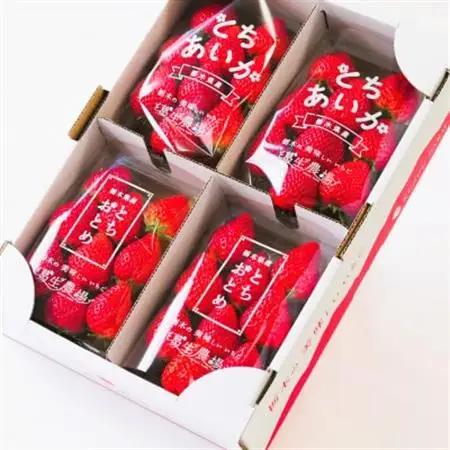 いちご生産量日本一栃木産　春イチゴ『とちおとめ』『とちあいか』 (260g×4パック)食べ比べセット_いちご 苺 とちおとめ とちあいか セット 食べ比べ 人気 おすすめ 送料無料 贈答 ギフト 栃木