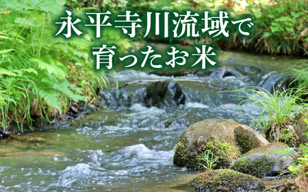 【先行予約】永平寺町飯島産　コシヒカリ  【玄米】５kg【2025年10月中旬以降順次発送開始予定】/ふるさと納税 米 5kg 福井県 永平寺町 の おいしい お米 発祥の地 こめ おこめ 白米 精米
