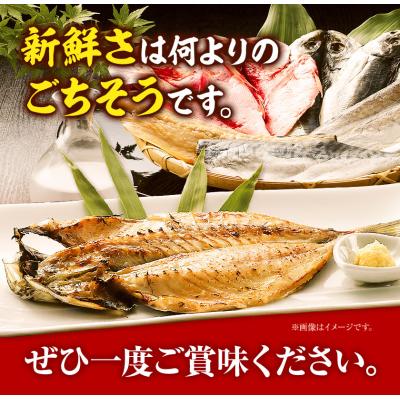 ふるさと納税 笠岡市 真鯛の熟成干物セット　A-03 |  | 03
