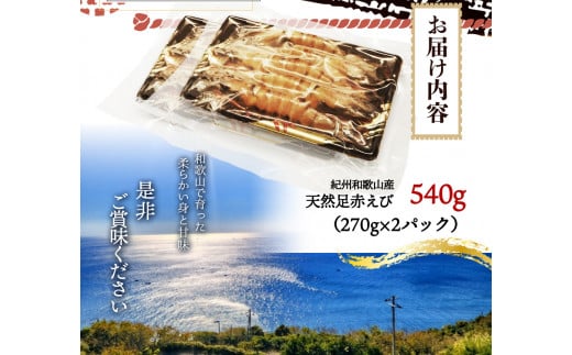紀州和歌山産天然足赤えび540g（270g×2パック）化粧箱入 ※2026年12月上旬〜2027年2月上旬頃順次発送予定（お届け日指定不可）／海老 エビ えび クマエビ 足赤 天然【uot772A】