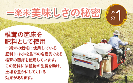 白米 3kg 令和5年度産 コシヒカリ 精米 米 あいさい一楽米 農薬不使用米 ( 大人気白米 人気白米 絶品白米 至高白米 国産白米 徳島県産白米 徳島県白米 ギフト白米 プレゼント白米 お中元白米