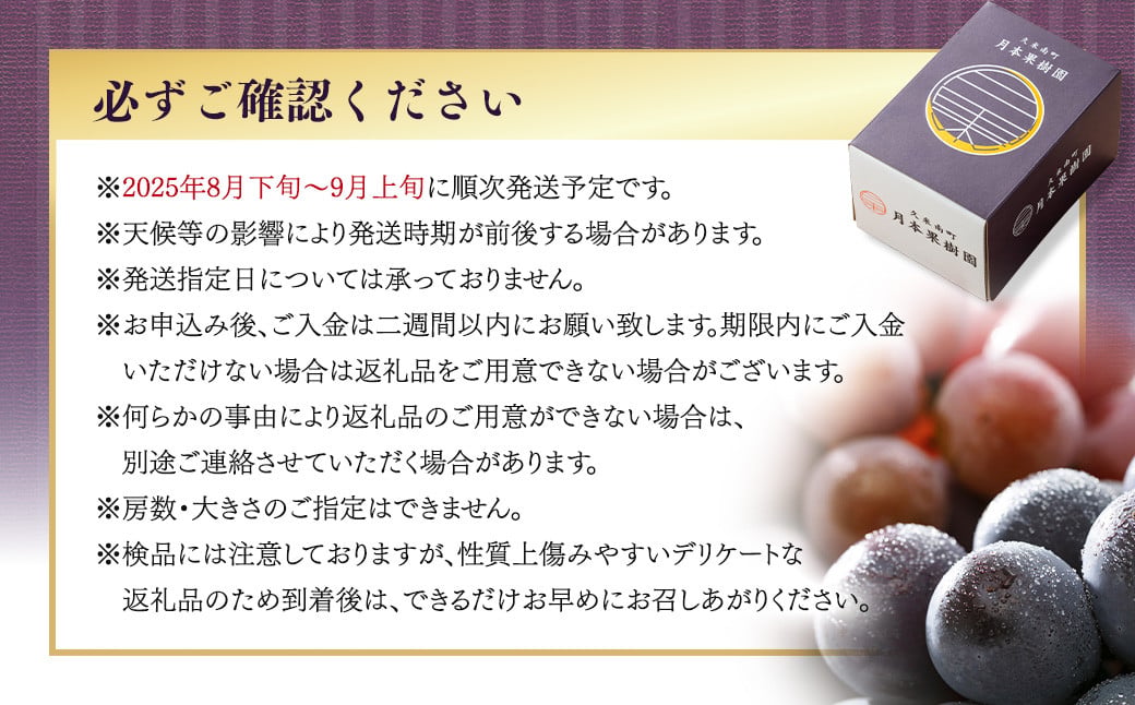 【種なし】 岡山県産 ニューピオーネ ・ クイーンニーナ MIX 1kg箱（各1房ずつ） 【2025年8月下旬～9月上旬発送予定】 ／ ぶどう ブドウ 葡萄 大粒 種なし 種無し フルーツ 果物 くだ