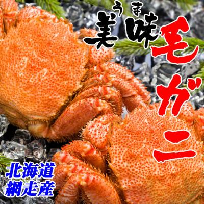 ふるさと納税 網走市 北海道 網走産 毛ガニ 440g前後 |  | 01
