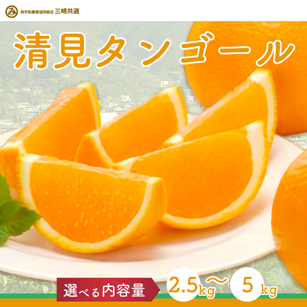 【ふるさと納税】【先行予約】清見タンゴール 生果 選べる 2.5kg ～ 5kg ※離島への配送不可（2026年3月上旬より順次発送予定）【 ふるさと納税 人気 おすすめ 柑橘 みかん ミカン 清見 清見タンゴール 蜜柑 果物 フルーツ 愛媛県産 愛媛県 伊方町 送料無料 】 IKTBD014