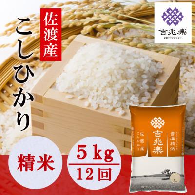 ふるさと納税 佐渡市 【毎月定期便】雪温精法　佐渡産こしひかり5kg全12回