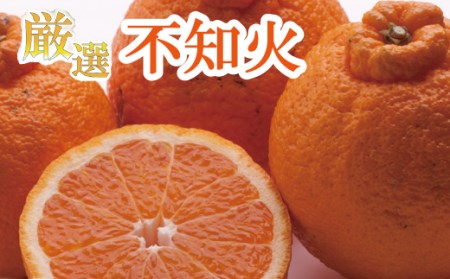 ＜2月より発送＞厳選不知火7.5kg+250g（傷み補償分）【デコポンと同品種・人気の春みかん】/ みかん くだもの フルーツ オレンジ 柑橘 和歌山 おすすめ 【ikd054D】