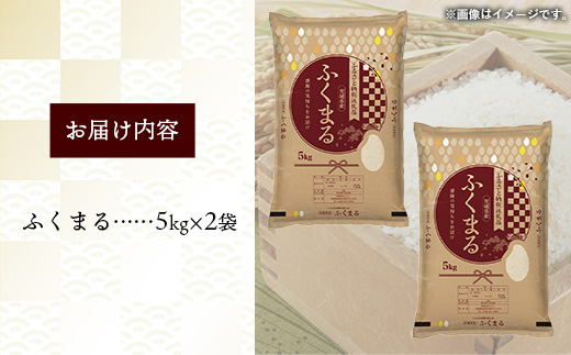 令和7年産 茨城県産 ふくまる 10kg ／ お米 精米 新米 旨味 安心 美味しい 茨城県 五霞町【価格改定】 10kg　¥20,000