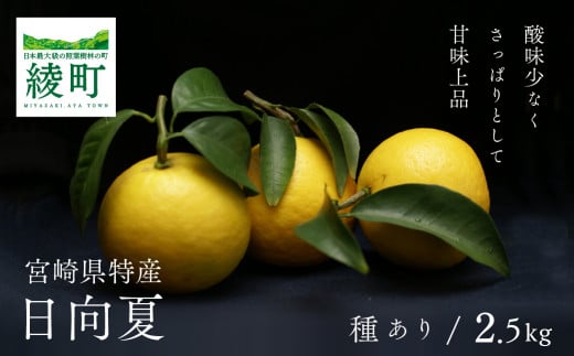 初春の旬 日向夏 種あり 2.5kg 先行受付 