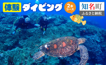 体験 ダイビング 2本コース C051-006 スポーツ 海 マリンスポーツ 自然