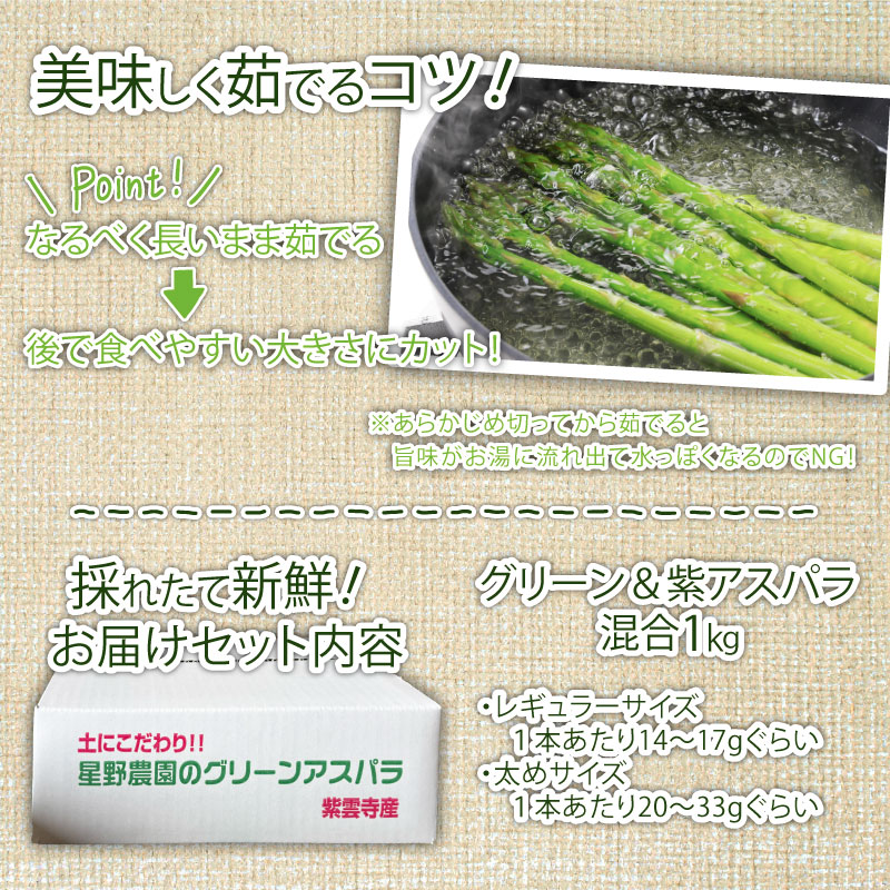 先行予約 紫入りアスパラ レギュラーと太め混合 １㎏ 朝採れ 新鮮 令和7年産 アスパラ アスパラガス 甘い 太い 柔らかい 特産品 野菜 春野菜 星野農園 新潟 新潟県 新発田産 新発田市 hosh