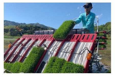 【令和7年産】獅子米 ゆうだい21 精米 10kg 岡田ファーム あなたが選ぶ日本一おいしい米コンテスト 最優秀金賞 受賞 お米 白米 米 おこめ ブランド米 ゆうだい ユウダイ21 10キロ 国産 