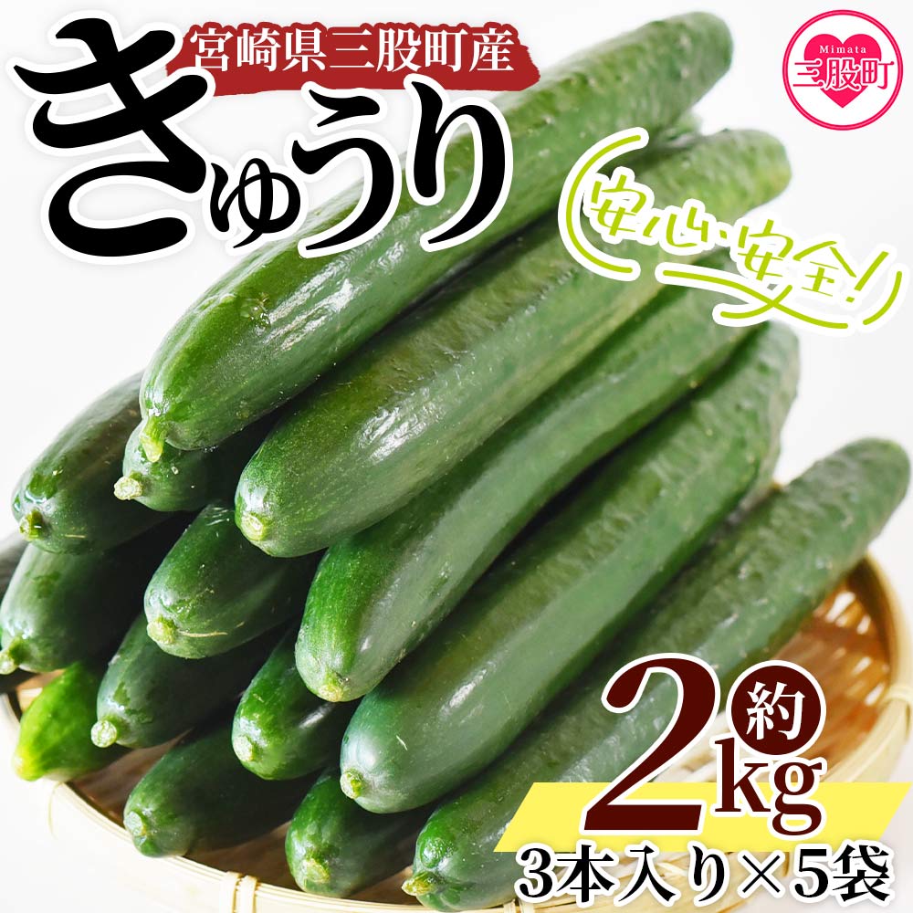 ＜【先行予約】【期間限定】宮崎県産きゅうり(約2kg)＞ (約2kg・3本入り×5袋)パリッと甘い魔法のキュウリ「マジキュー」漬物や天ぷらに！【MI149-yt】【ゆたか農園】