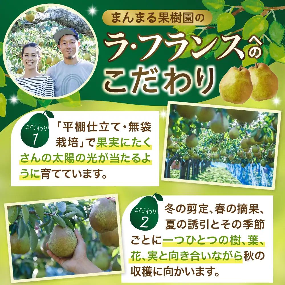 ラフランス 3kg 大玉 特秀品 贈答用 7玉~10玉 6L~3L 西洋梨 ラ・フランス フルーツ 果物 0055-2610