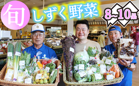 産地直送 季節の新鮮野菜 8～10品 詰め合わせ ／ 野菜 セット 産直 【あねっこ】