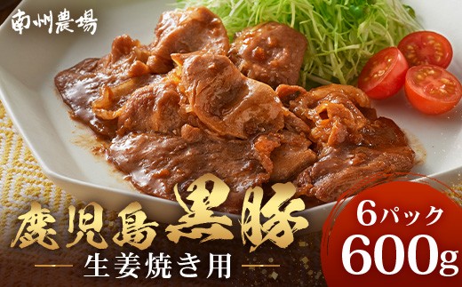鹿児島県産 黒豚生姜焼きセット（100g×6パック）味付き肉 冷凍 NS-22 | 鹿児島 黒豚 かごしま黒豚 お肉 肉 豚肉 しょうが焼き 焼くだけ 味付き おかず お弁当 加工肉 真空パック 鹿児島県 南大隅町 南州農場