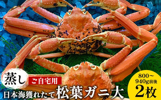 １１５．【先行予約】【蒸し】ご自宅用日本海獲れたて松葉ガニ 大　800～940g前後　２枚◇《かに カニ 蟹 ズワイガニ》※2024年11月上旬～2025年3月上旬頃に順次発送予定