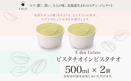 ジェラート ピスタチオインピスタチオ 500ml×2個