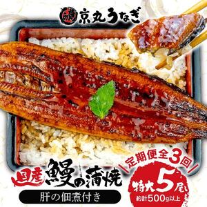 【 定期便 3ヶ月 連続 】 国産 鰻 うなぎ 5尾 肝 佃煮 ギフト セット 蒲焼 うな丼 うな重 ひつまぶし 土用 丑の日 （ ｳﾅｷﾞ ｳﾅｷﾞ ｳﾅｷﾞ ｳﾅｷﾞ ｳﾅｷﾞ ｳﾅｷﾞ ｳﾅｷﾞ ｳﾅｷﾞ ｳﾅｷﾞ ｳﾅｷﾞ ｳﾅｷﾞ ｳﾅｷﾞ ｳﾅｷﾞ ｳﾅｷﾞ ｳﾅｷﾞ ｳﾅｷﾞ ｳﾅｷﾞ ｳﾅｷﾞ ｳﾅｷﾞ ｳﾅｷﾞ ｳﾅｷﾞ ｳﾅｷﾞ ｳﾅｷﾞ ｳﾅｷﾞ ｳﾅｷﾞ ｳﾅｷﾞ ｳﾅｷﾞ ｳﾅｷﾞ ｳﾅｷﾞ ｳﾅｷﾞ ｳﾅｷﾞｳﾅｷﾞ ｳﾅｷﾞ ｳﾅｷﾞ ｳﾅｷﾞ ｳﾅｷﾞ ｳﾅｷﾞ ｳﾅｷﾞ ｳ