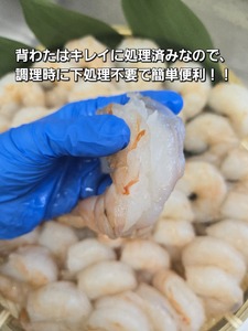 1809　伊勢で加工した(養殖）大粒むきえび1Kg袋×2セット背ワタ無し プリプリ ブリブリ 冷凍 お弁当 おかず 魚介類 三重県 伊勢市 下処理不要 海鮮 大容量 時短