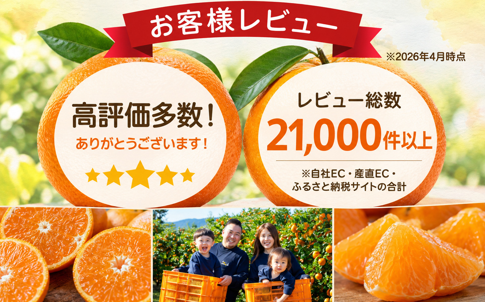 【先行受付】【香る柑橘】とろける甘み【はれひめ】【極】4kg【C49-81】【1621793】 YWTZ066