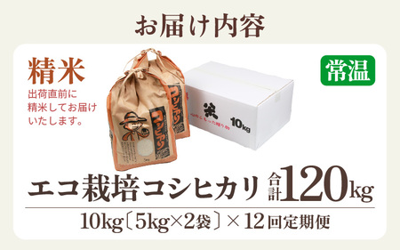 【先行予約】【令和7年産 新米】《定期便12回》エコ栽培コシヒカリ 白米10kg（5kg×2袋）計120kg ／ 鮮度抜群 福井県産 こしひかり ご飯 新鮮 白米 ※2025年10月上旬より準備出来次