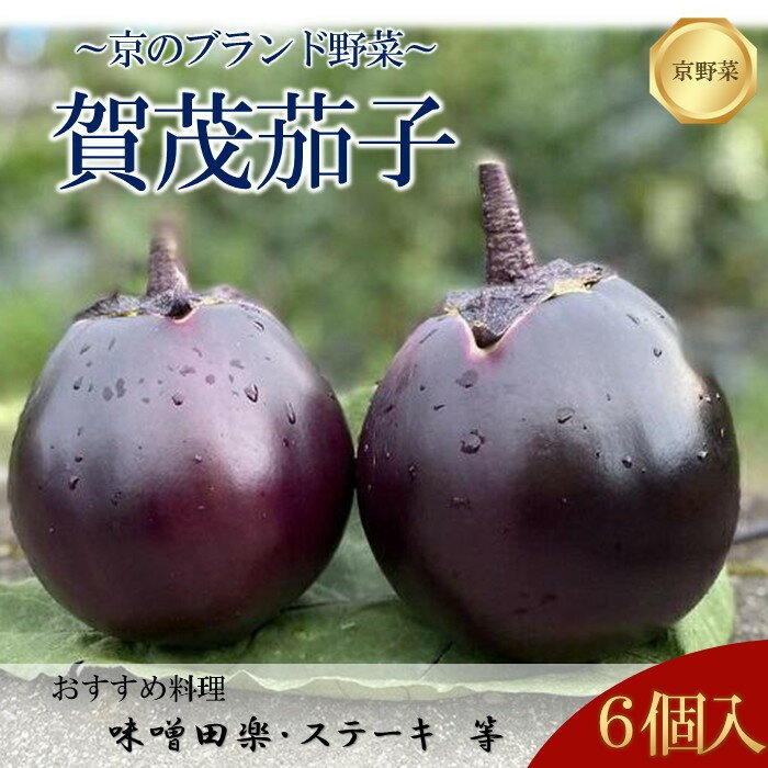 【ふるさと納税】【先行予約特典付き・2026年7月発送】京ブランド野菜・賀茂茄子（かもなす） 6個 約1.5kg |京都 野菜 人気セット［ 京都 野菜 賀茂 茄子 なす ご当地 人気 おすすめ 定番 セット おいしい ご自宅用 お取り寄せ 通販 送料無料 ふるさと納税 ］