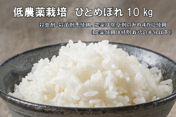 
            【新米先行予約】令和7年産 新米 低農薬栽培米 ひとめぼれ 10kg【精米】
          
