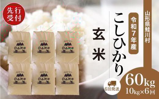 ＜令和7年産米先行受付＞ 鮭川村 コシヒカリ 【玄米】 60kg定期便 （10kg×6回発送）＜配送時期選べます＞