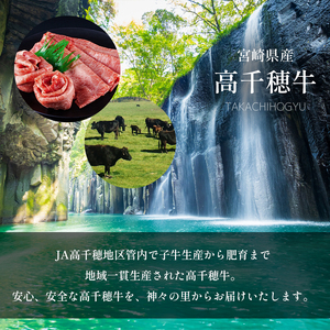 高千穂牛１００％使用　ハンバーグ(１０個)