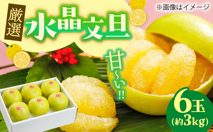 
                  【先行予約】 厳選・水晶文旦 約3kg（5～6玉程度）〈2026年10月初旬～2026年11月下旬頃発送〉 / 文旦 水晶文旦 3kg 5玉 6玉 柑橘 果物 フルーツ デザート 季節限定 期間限定 【L＋武田青果】 [ATIT005]
                