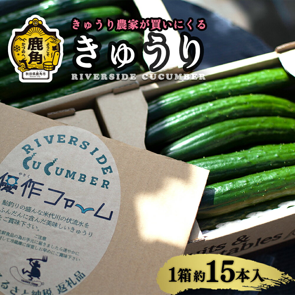 【ふるさと納税】 野菜ソムリエサミット 銀賞受賞 リバーサイド きゅうり 1箱約15本入り 選べる内容量 秋田県鹿角産 新鮮 旬 安全 採れたて 胡瓜 国産野菜 お中元 お歳暮 お取り寄せ グルメ ギフト 秋田 あきた 鹿角市 鹿角 送料無料 【優作ファーム】