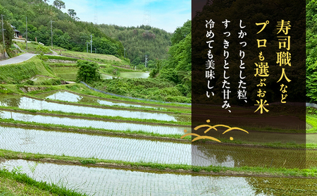 朝日米 棚田米 自然栽培 農薬・肥料不使用 朝日米【 玄米 4kg(2kg×2袋)】【先行受付 令和8年産】