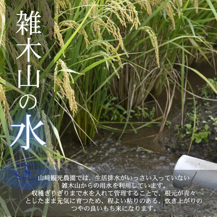 もち米 5kg 令和7年産 AU008