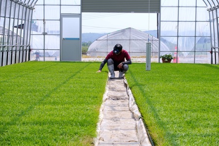 新米 米 令和7年産 もち米 ヒメノモチ 5kg 大石田町産 fa-mkhia5