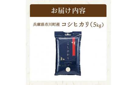 新米 令和７年産 市川町産 コシヒカリ（NICOMARU農場）精米5kg 　013NM01N./ コシヒカリ 精米 お米 ご飯 ごはん 市川町