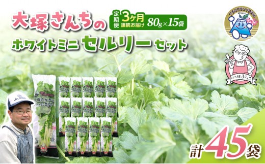 
                  定期便 3回 ホワイトミニセルリー 15袋  計45袋 野菜 詰め合わせ 毎月届く 3ヶ月 セロリ ミニセロリ 新鮮 産地直送 サラダ 野菜セット 詰合せ[№5812-0933]
                