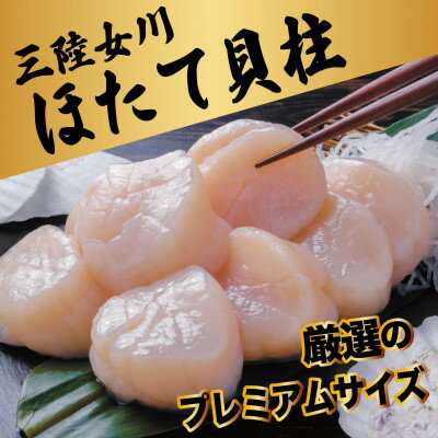 【ふるさと納税】冷凍ほたて貝柱(生食用)　厳選のプレミアムサイズ　500g/CAS凍結【配送不可地域：離島】【1708067】