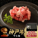 【ふるさと納税】神戸牛すじ肉600g【配送不可地域：離島】【1527761】