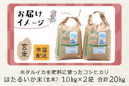 ほたるいか米（玄米20kg）【通年発送】　ホタルイカを肥料に使ったコシヒカリ