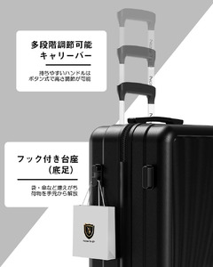 NEWTRIP0301　スーツケース　シャンパンゴールド　Sサイズ　【11100-2005】