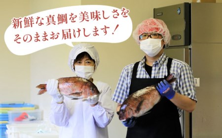 鯛茶漬あおさ塩だし8食 海鮮 魚介 魚貝 真鯛 だし お茶漬け 五島市/NEWパンドラ [PAD002]