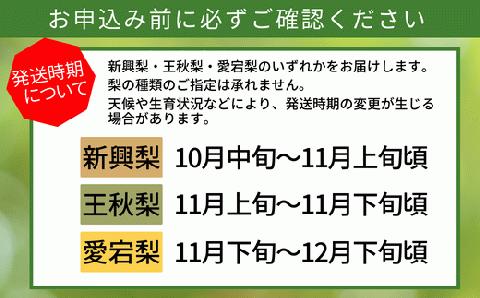 【先行予約】【 晩生梨（新興梨 王秋梨 愛宕梨）4kg 大きめサイズ（1玉450g～700gを4～9玉）】10月中旬から12月下旬にかけて発送 香住産 果物 フルーツ ナシJAたじま 12-06