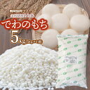 【ふるさと納税】令和6年産 山形県産もち米「でわのもち」5kg（5kg×1袋） 餅　鶴岡協同ファーム