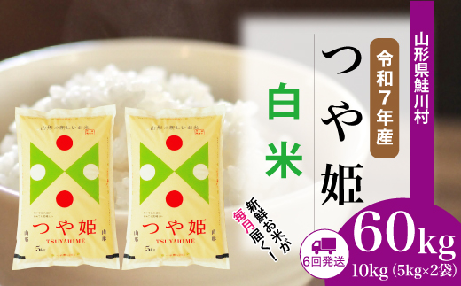 ＜令和7年産米＞ 山形県産 特別栽培米 つや姫 【白米】60kg定期便(10kg×6回)　配送時期指定できます！