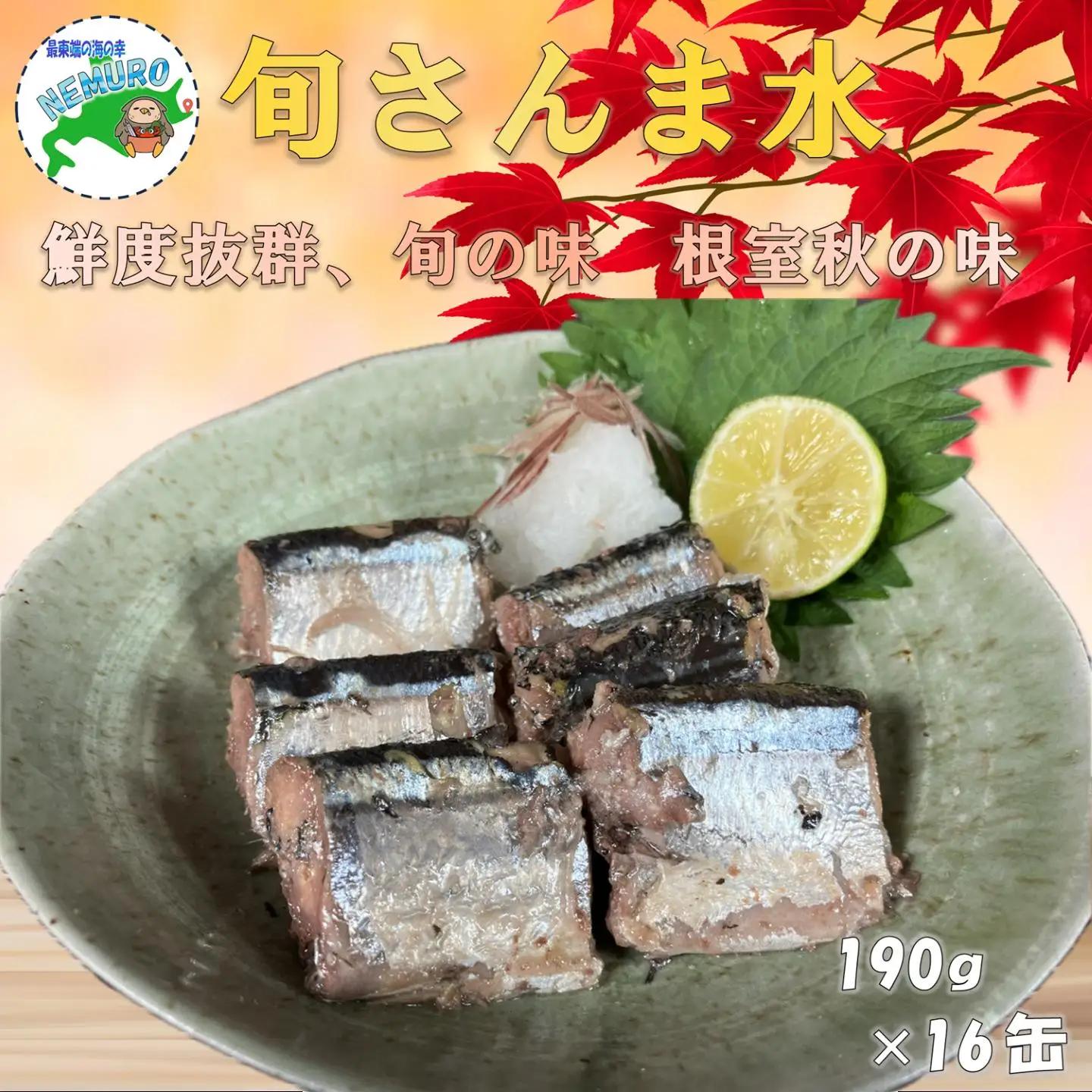 【北海道根室産】旬さんま水煮190g×16缶 F-78014