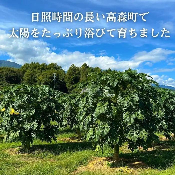 南信州高森産 青パパイヤ 1kg