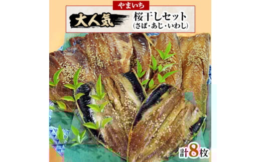 ＜3ヵ月毎定期便＞やまいち大人気桜干セット全4回【4063592】