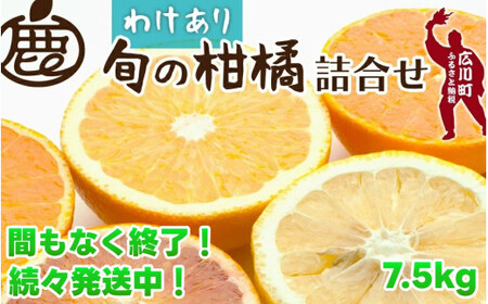 柑橘 詰合せ 7.5kg+225g 訳あり 光センサー / みかん 不知火 清見 八朔 伊予間 セミノール レモン ３種類以上 詰め合わせ 晩柑 ※1月上旬〜6月下旬に順次発送 ※北海道・沖縄・離島への配送不可【ikd049-c-7d5A】
