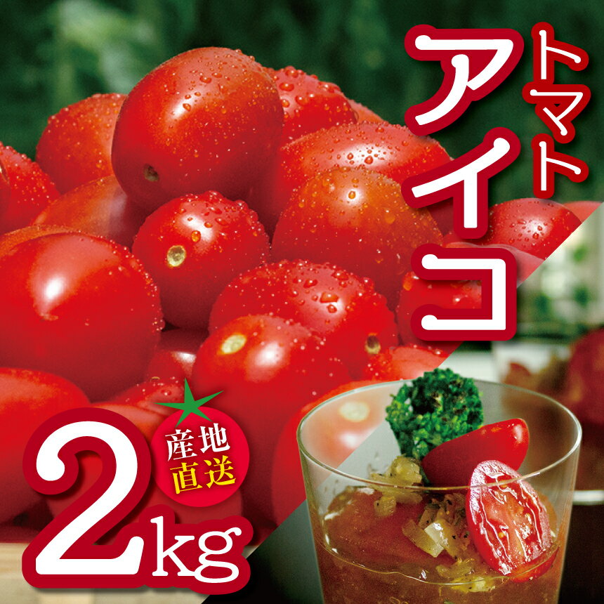 【ふるさと納税】田添農園 トマト アイコ 約2kg | 野菜 やさい とまと ミニトマト 2kg 2キロ 産地直送 熊本県 玉名市
